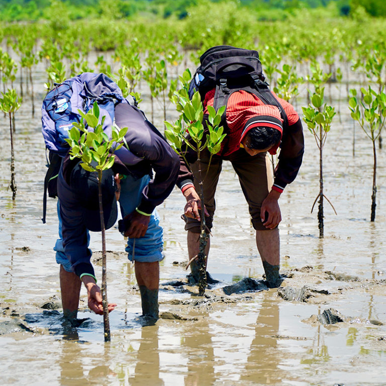 community-based-natural-resources-management-world-neighbors